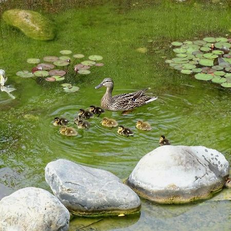 Maison Du Lac Les Angles  Dış mekan fotoğraf